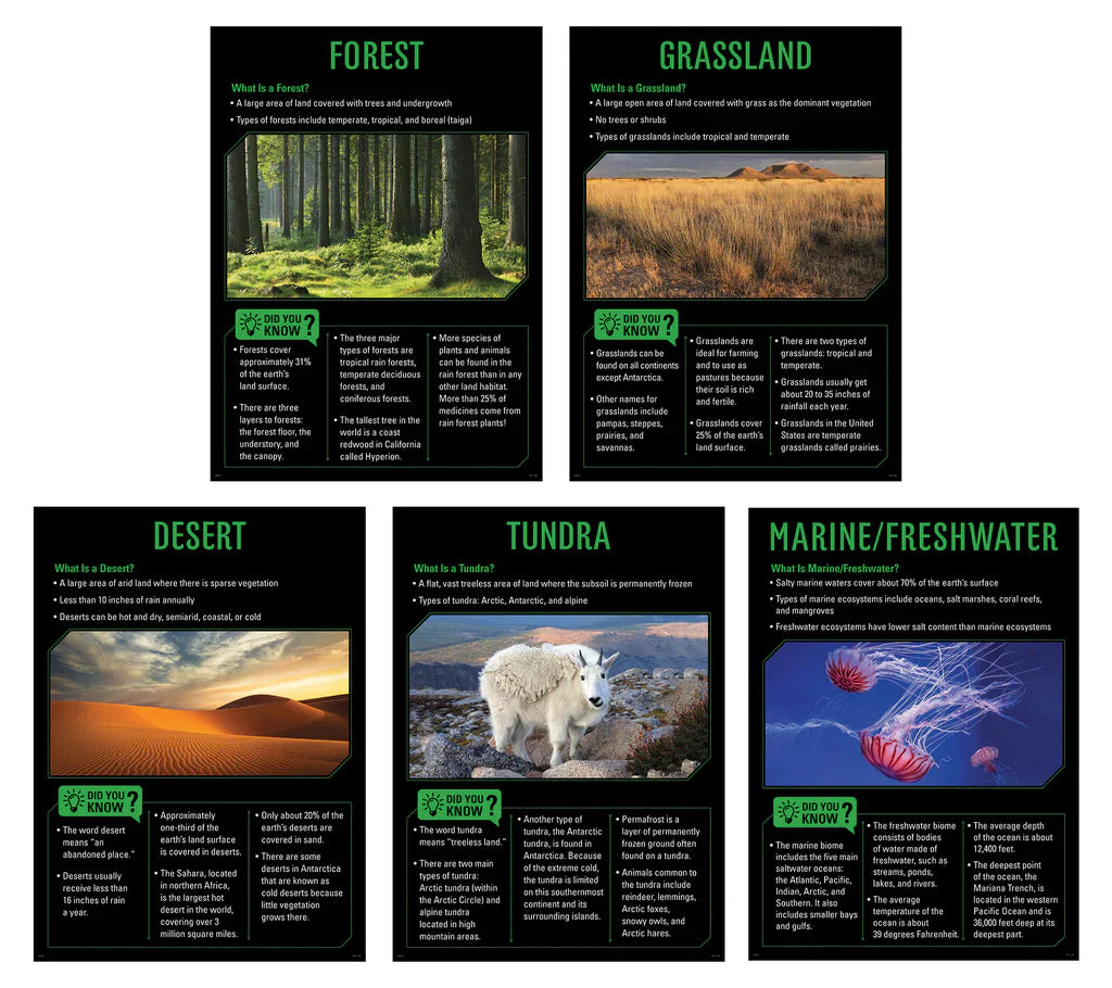 Ecosystems 5-Poster Set