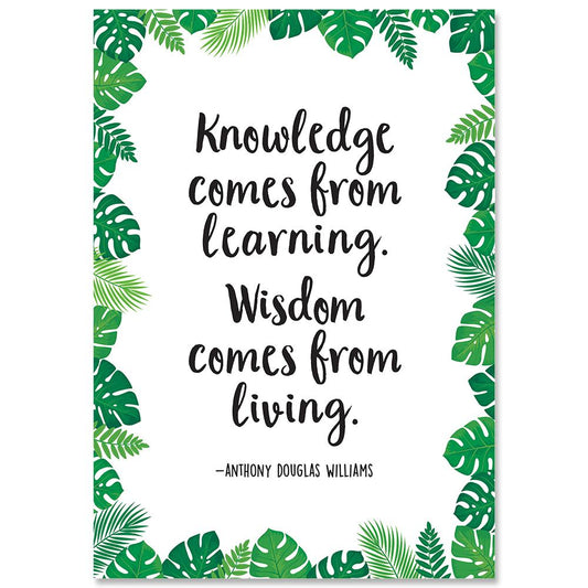 Knowledge comes from learning Poster