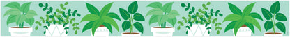 Potted Plants (Positively Plants) Border