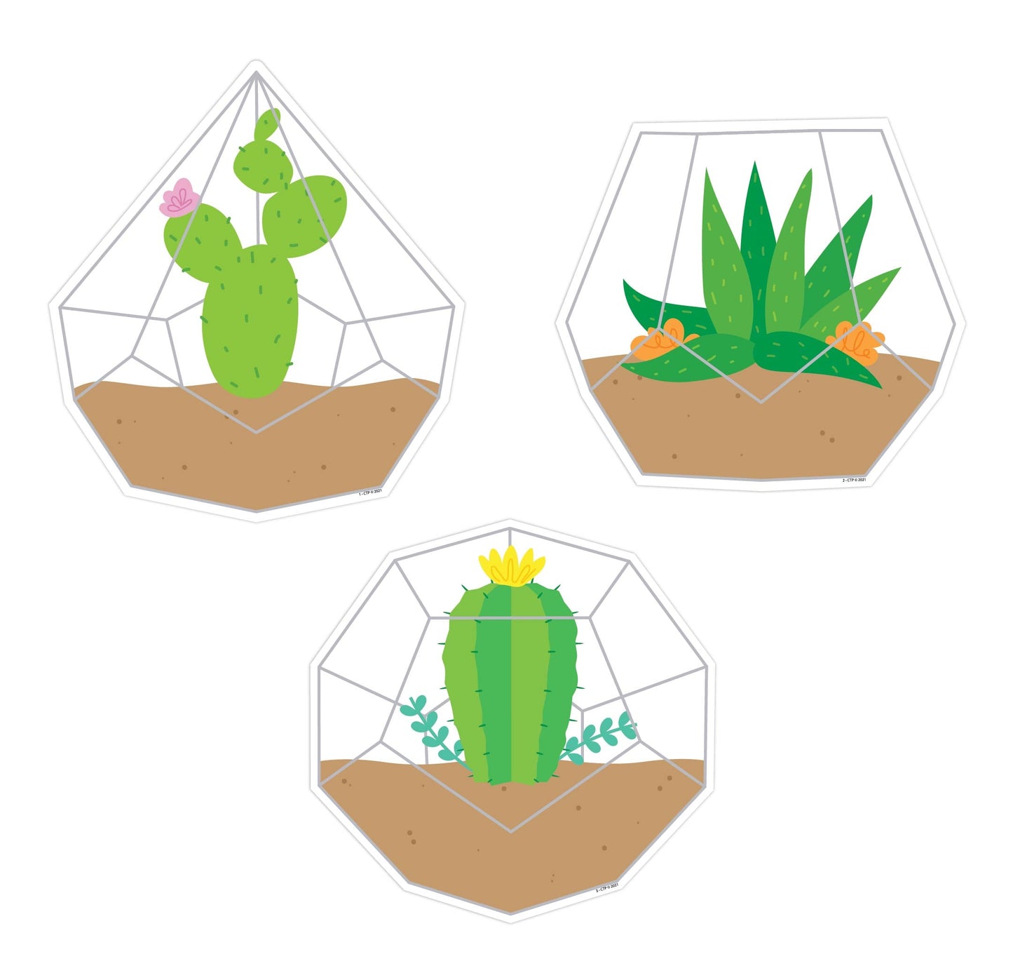 Terrariums (Positively Plants) Designer 6" Cut-Outs