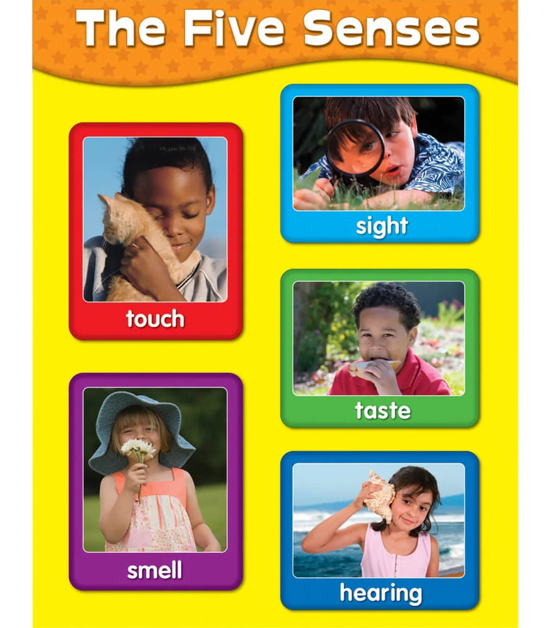 The Five Senses Chart Grade PK-2