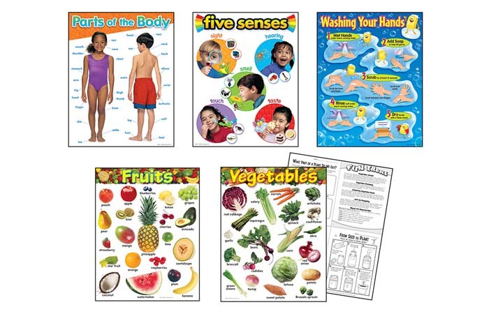 Healthy Living Learning Charts Combo Pack