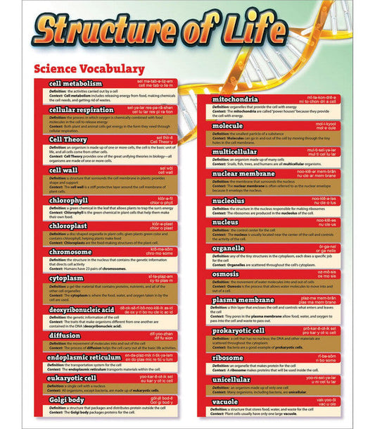 Science Vocabulary: Structure of Life Chart Grade 5-12