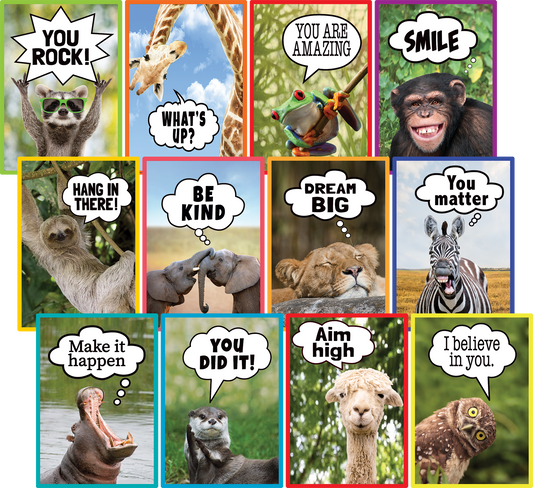 Go Wild Animals Small Poster Pack