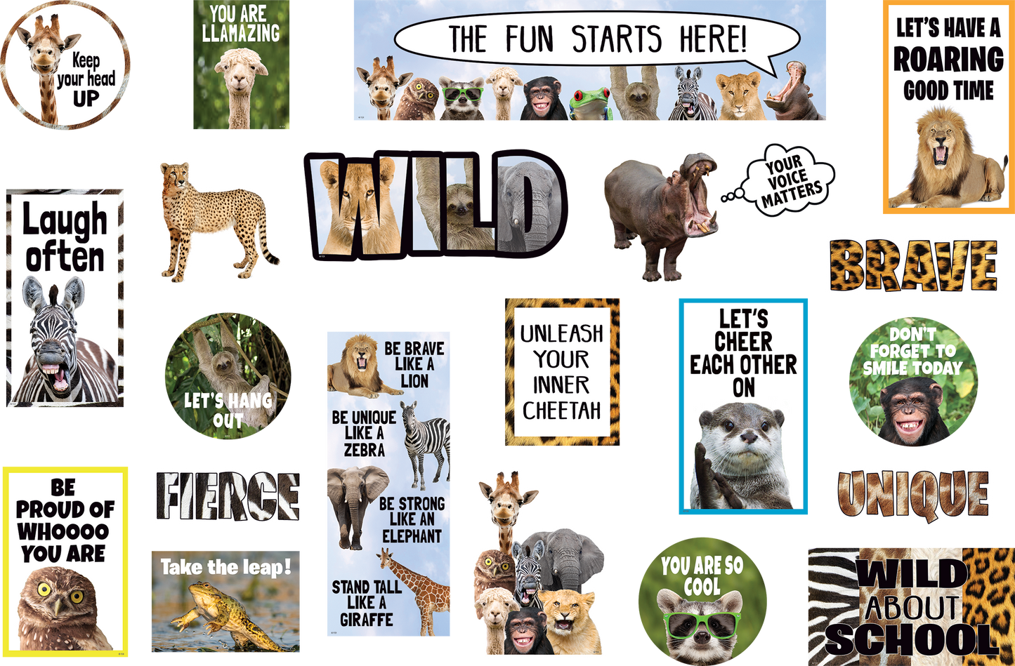 Go Wild Animals Mini Bulletin Board