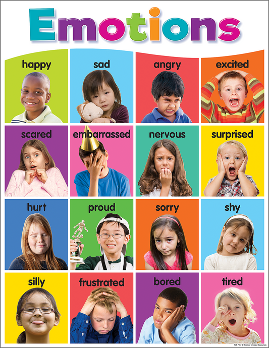 Colorful Emotions Chart