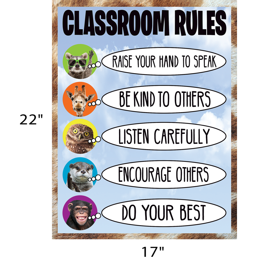 Go Wild Animals Classroom Rules Chart