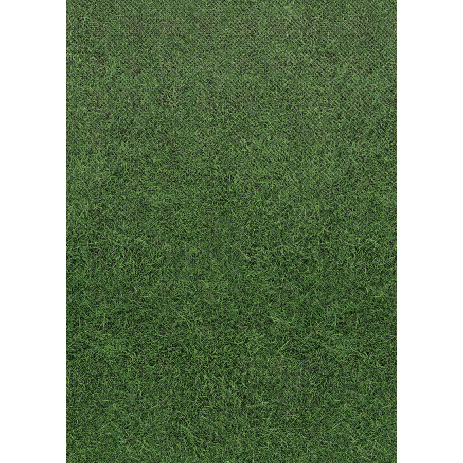 Grass Better Than Paper Bulletin Board Roll