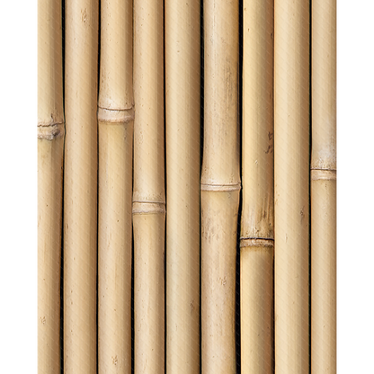 Bamboo Better Than Paper Bulletin Board Roll