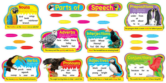 Colorful Birds Parts of Speech Bulletin Board Set