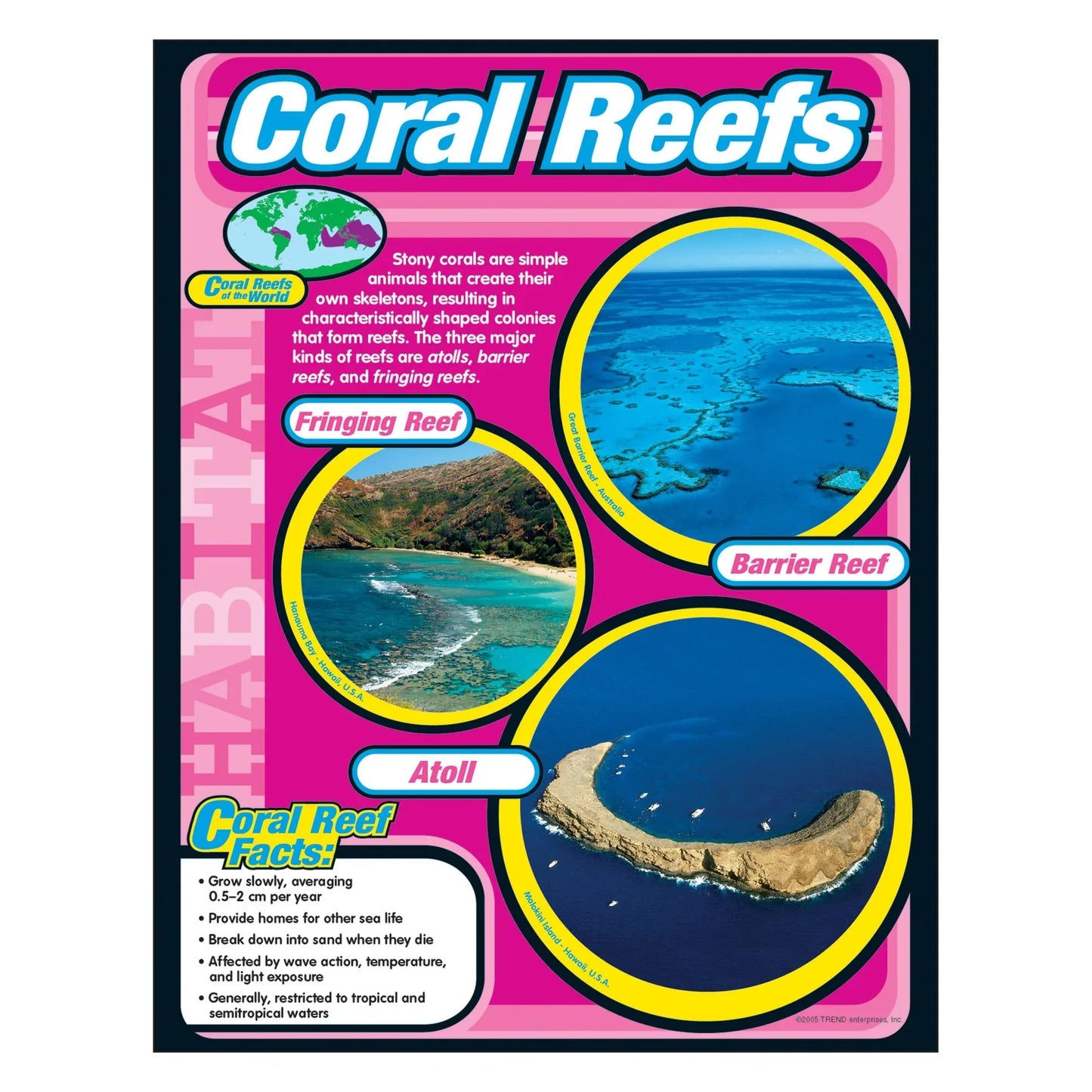 Coral Reefs Learning Chart