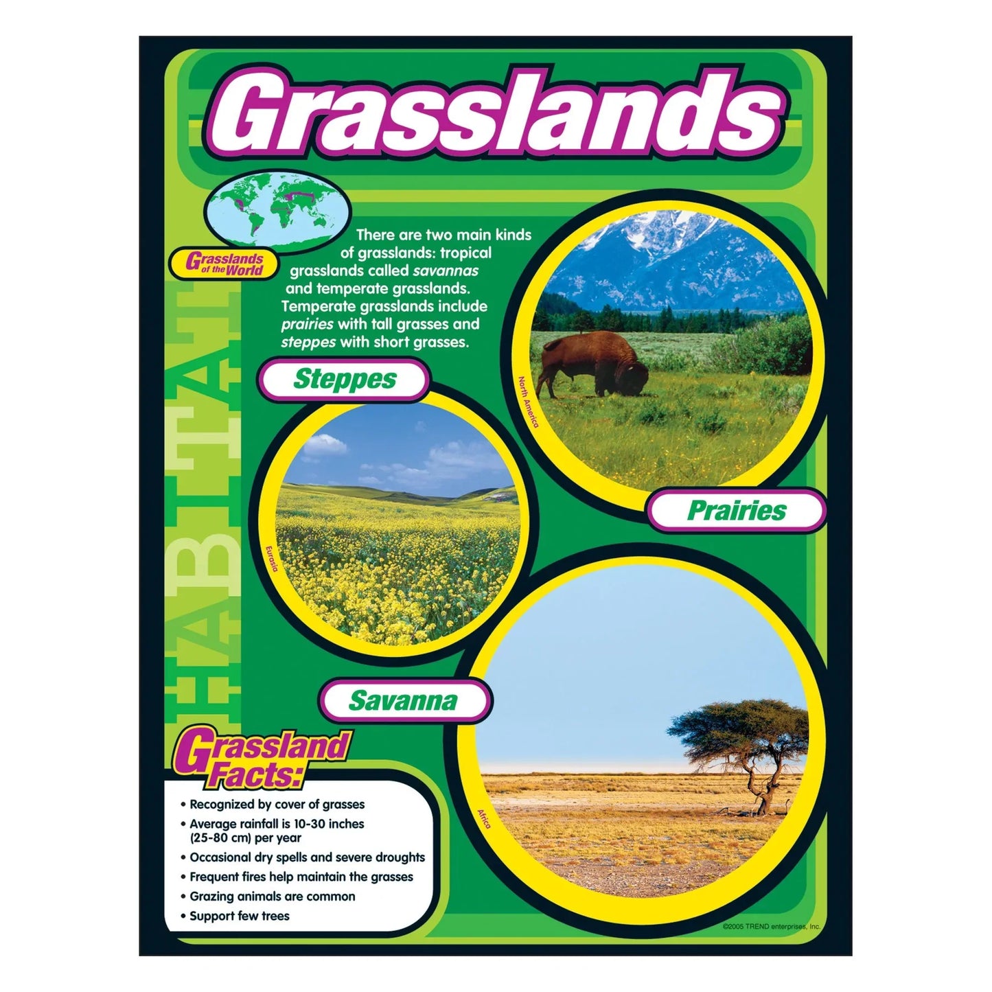 Grasslands Learning Chart/Poster