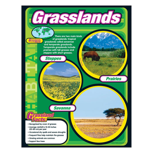 Grasslands Learning Chart/Poster