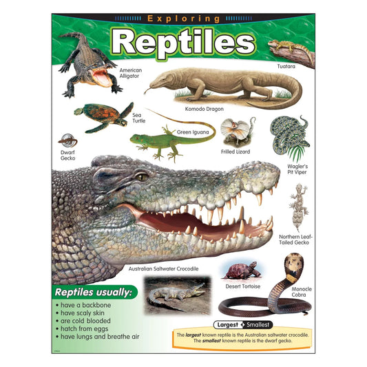 Exploring Reptiles Learning Chart