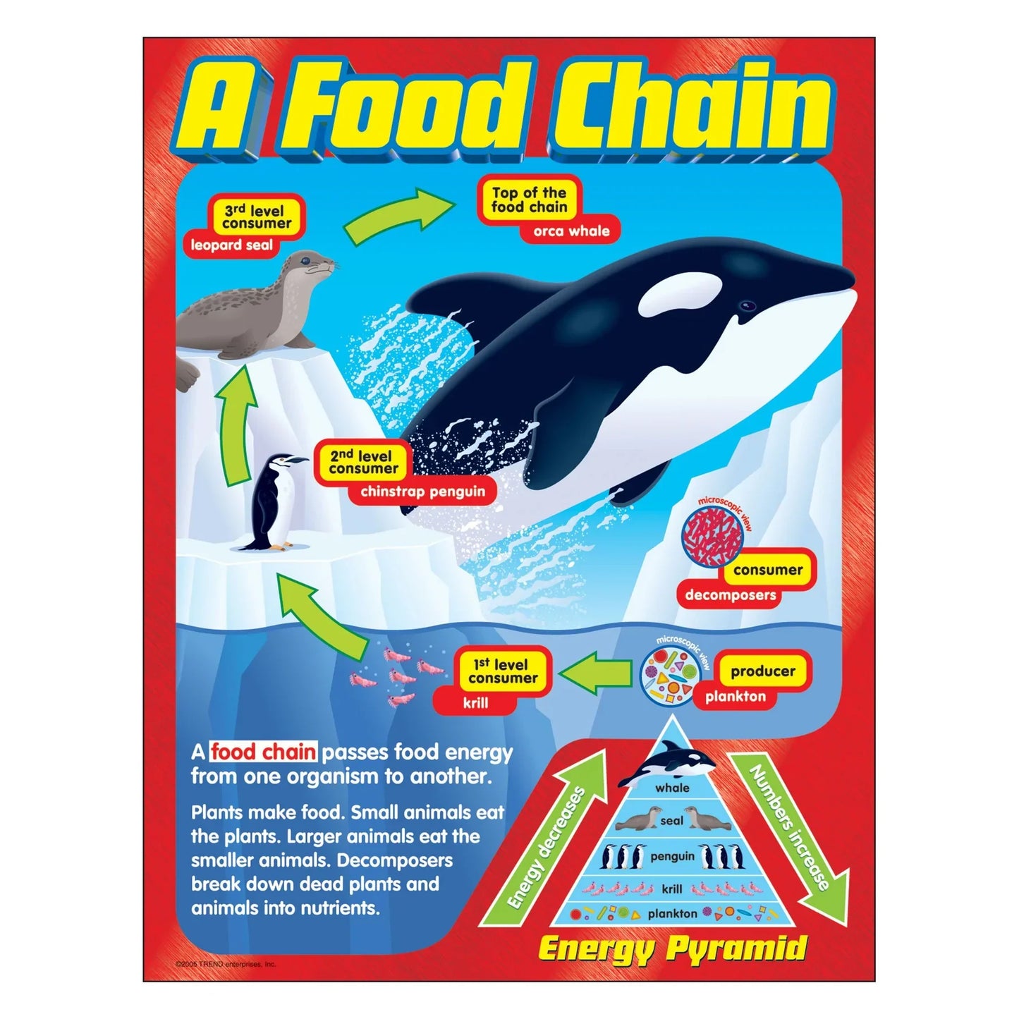 A Food Chain Learning Chart