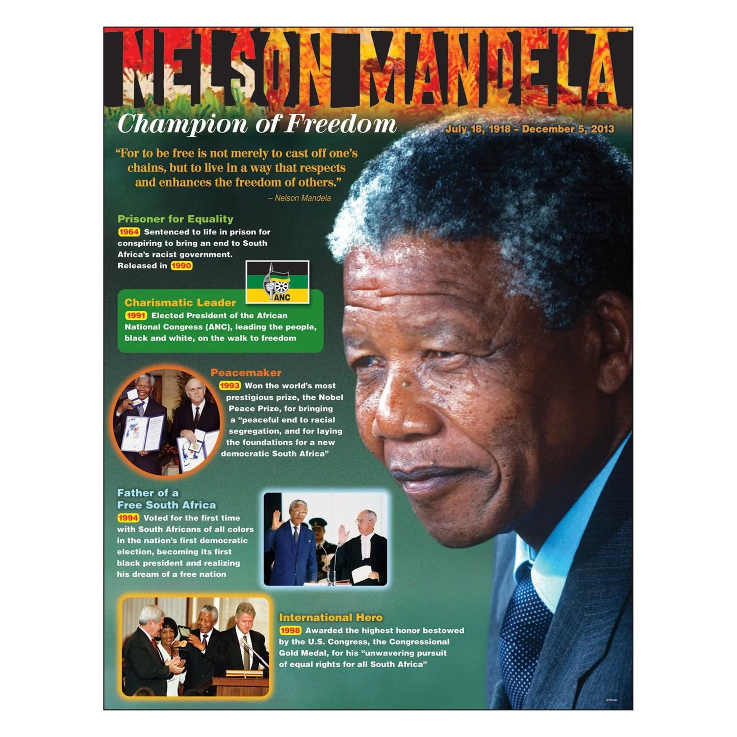 Nelson Mandela Learning Chart