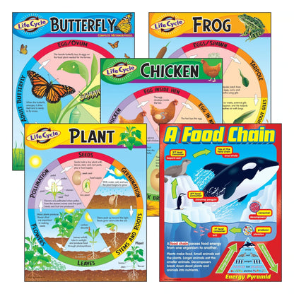 Life Cycles Learning Charts Combo Pack