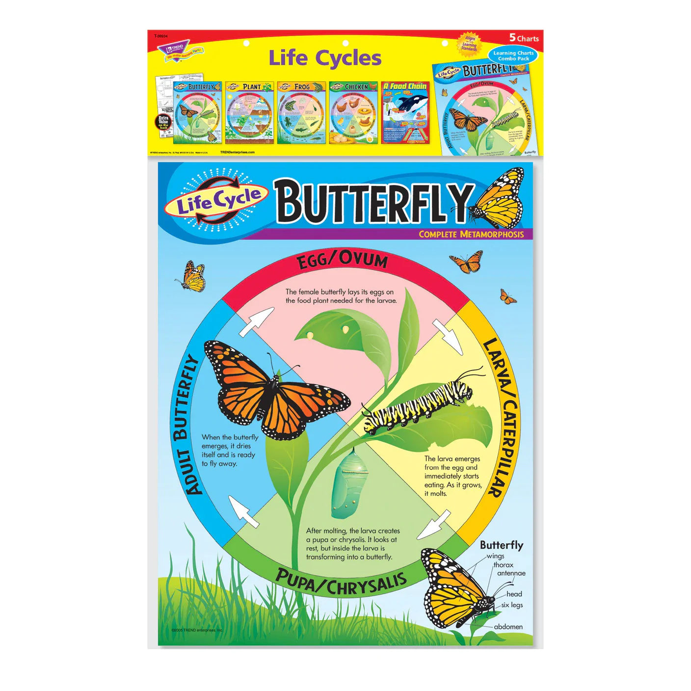 Life Cycles Learning Charts Combo Pack