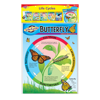 Life Cycles Learning Charts Combo Pack