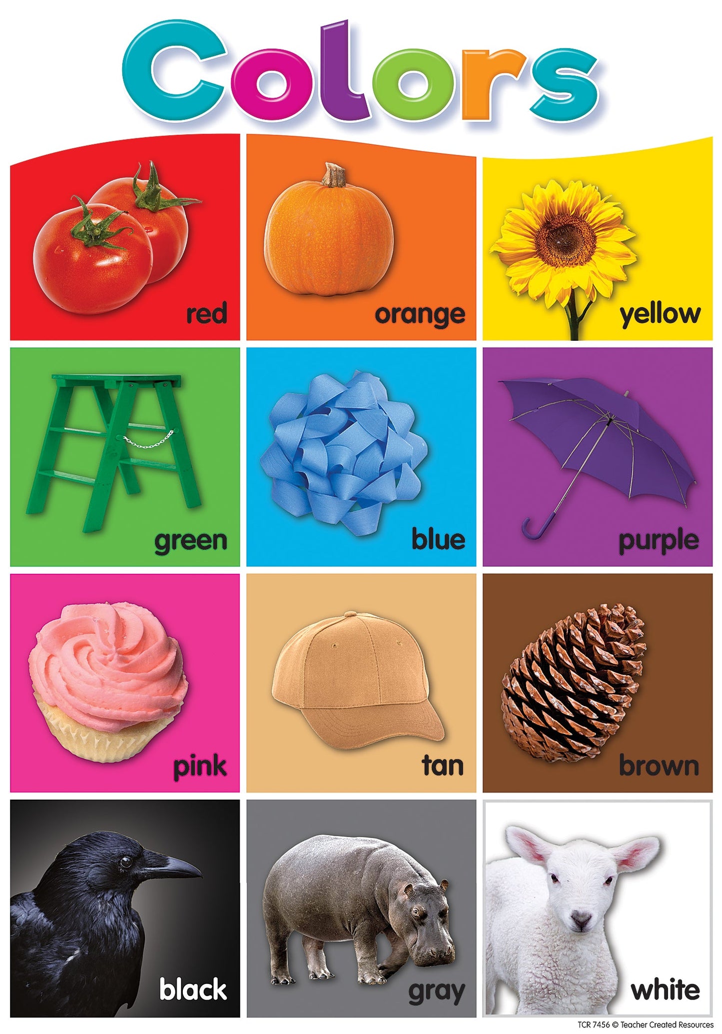 Colorful Early Learning Small Poster Pack