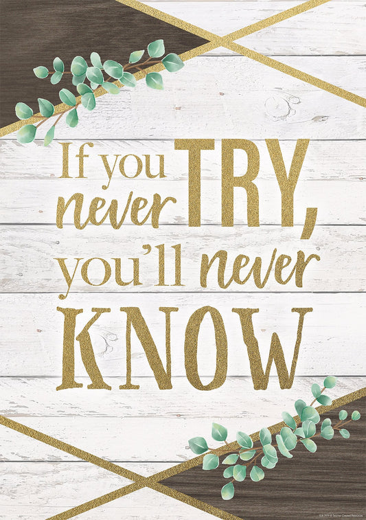 If You Never Try, You'll Never Know Positive Poster