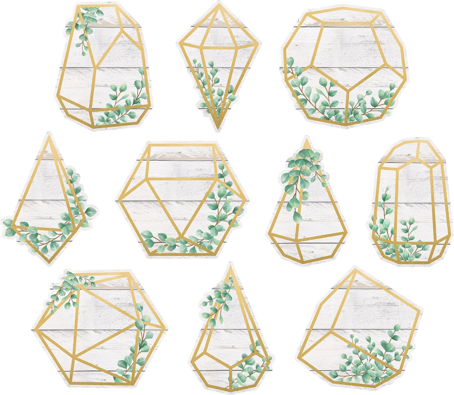 Eucalyptus Geometric Terrariums Accents