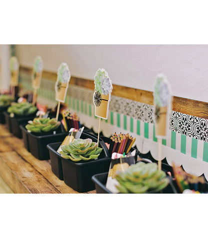 Potted Succulents Cut-Outs