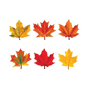 Maple Leaves Mini Accents
