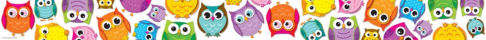 Colorful Owls Straight Border