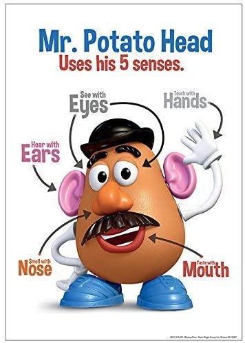 Mr. Potato Head - 5 Senses Poster 13" x 19"