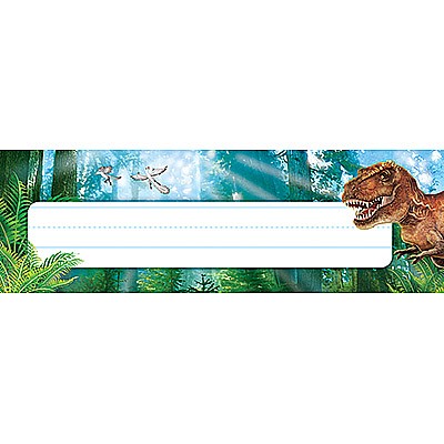 Discovering Dinosaurs Name Plates
