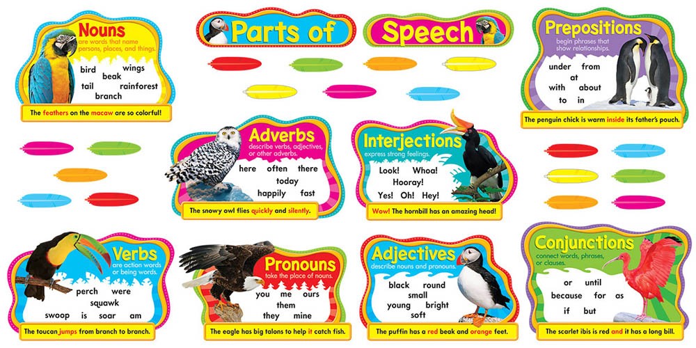 Colorful Birds Parts of Speech Bulletin Board Set