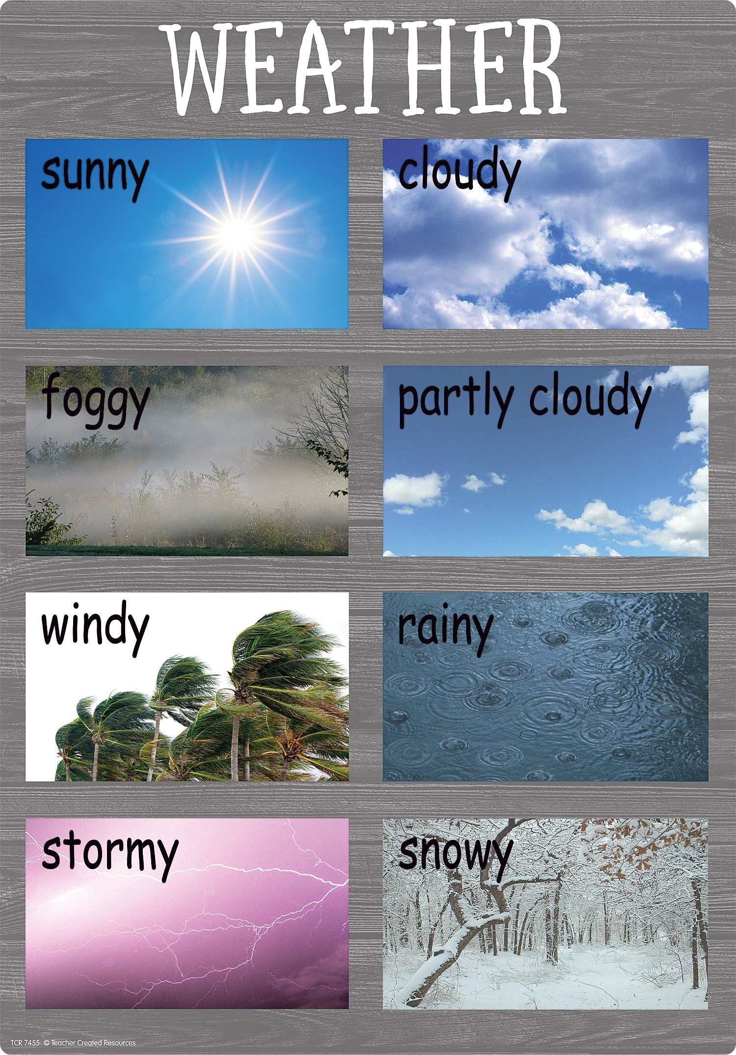 Teacher Created Resources Winter Small Poster Pack